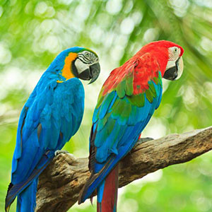 Small manufacture image 1