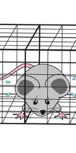 bitter rat, rat spray for car, bitter rat repellent, rat repellent for car, rat repellent spray