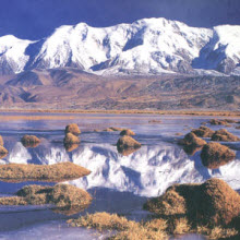 clean clear water soil grown organic fresh eco non-gmo friendly natural pure free best soil grow