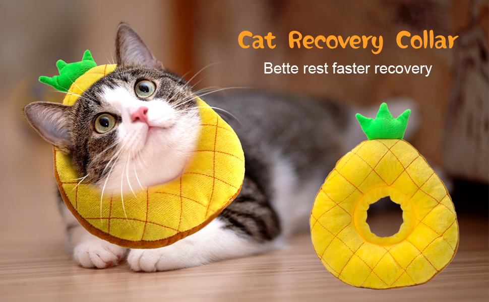HYLYUN Cat Recovery Collar Cute Pineapple Neck Cat Cones After Surgery