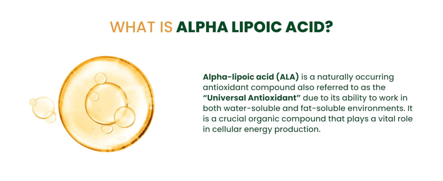 Himalayan Organics Alpha Lipoic Acid 300mg Boost Liver Function, Healthy Blood Sugar