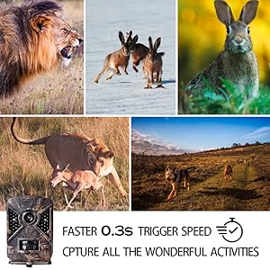 Small manufacture image 4