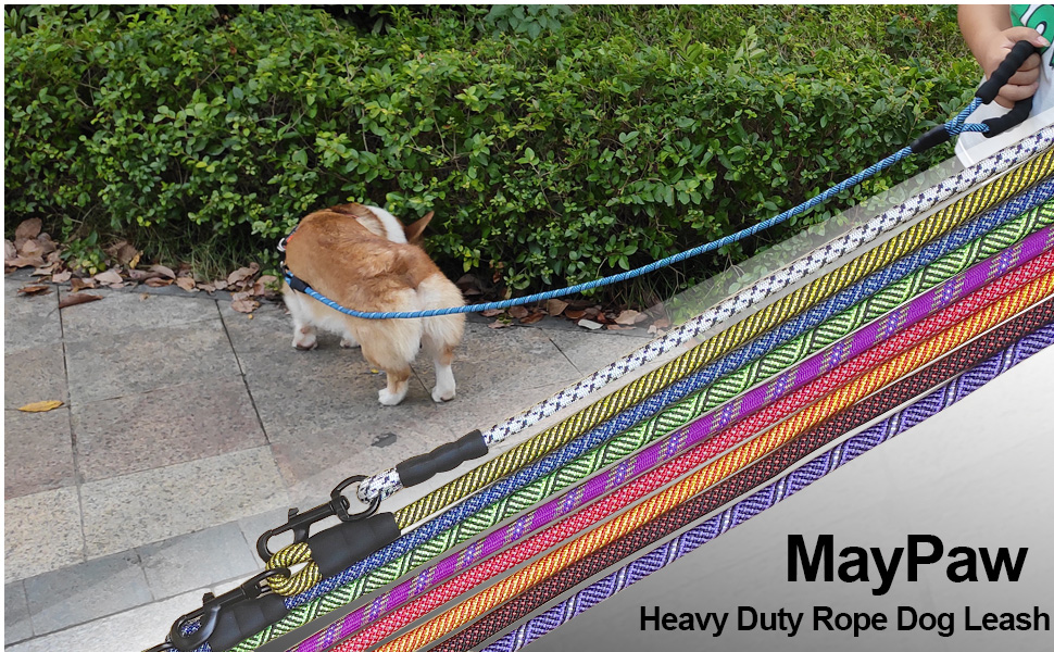 rope dog leash