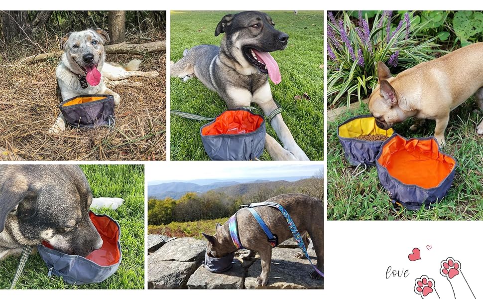 travel dog bowls large collapsible dog water bowl portable camping dog bowls