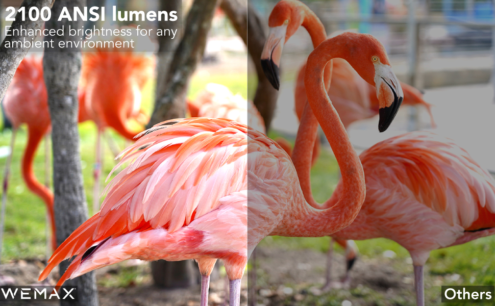 laser, projector, vava, wemax, nova, native, resolution 1080p, 4k, movie, video, picture, quality