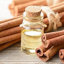 essential oil kill prevent stop thyme lavender cinnamon tea tree bergamot lemongrass citronella