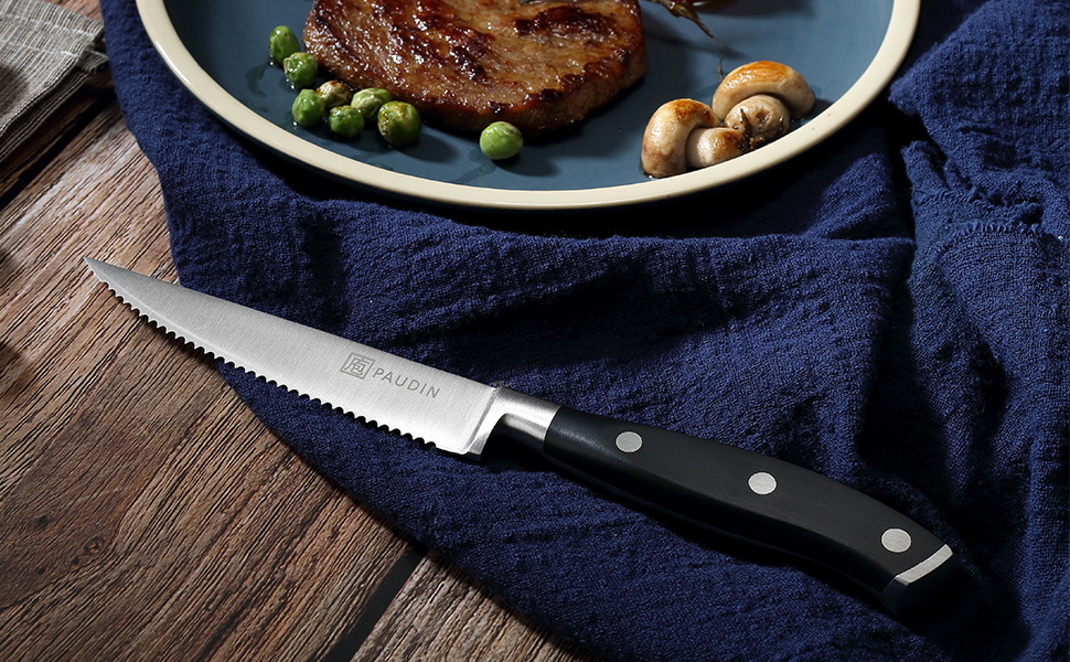 Steak Knife Set of 4 PAUDIN Steak Knives 4.5 Inch, Premium Stainless