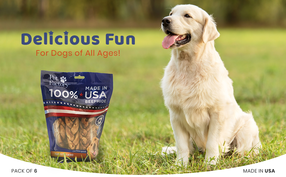 NATURAL DRIED Stockbull BEEF HIDE 20CM DOG TREAT PACK OF 10 X25 HIDES