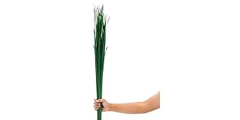 natural colored dried grass