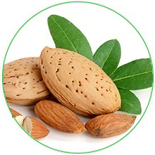 Sweet Almond Oil