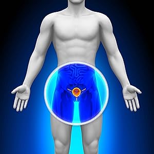 Probiotic mens men prebiotic plantvital for men’s bacteria weight loss lycopene plant vital