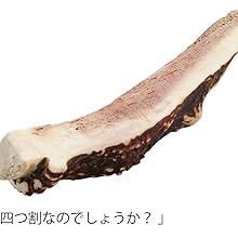 鹿の角 大きめ 4本セット自然乾燥済み Amazon.co.jp: 大きめの鹿の角4本セット鹿角ディスプレイ飾り