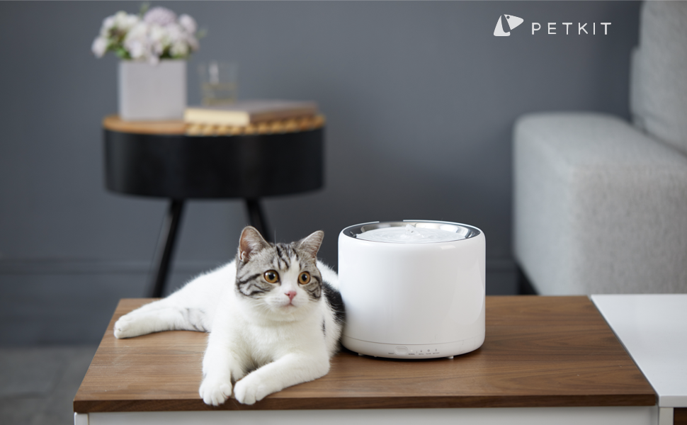 Dispensador Silência fonte de água automática inteligente sem infravermelhos bebedouros M fontes P Ga