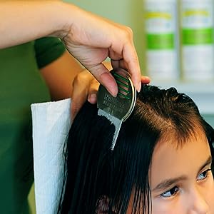 lice comb
