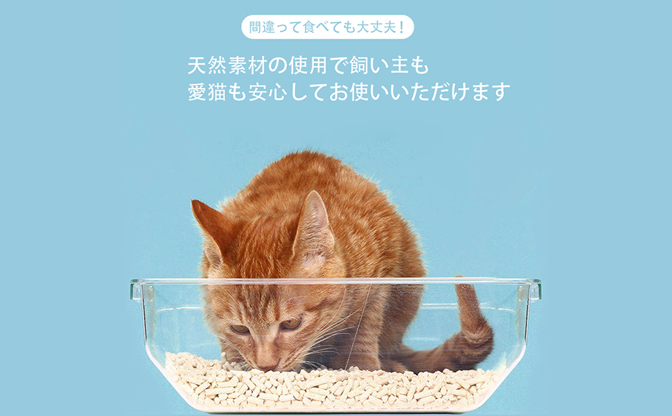 Amazon One Step おからの猫砂 6lそいねこ 天然素材 固まる 燃やせる トイレに流せる 真空包装 猫砂 ねこ砂 ネコ砂 しっかり消臭 ほこり飛び散らない消臭 抗菌 環境にやさしい トイレに流れ 円柱タイプ 愛猫間違って食べても大丈夫 1袋 Onestep 猫砂 通販