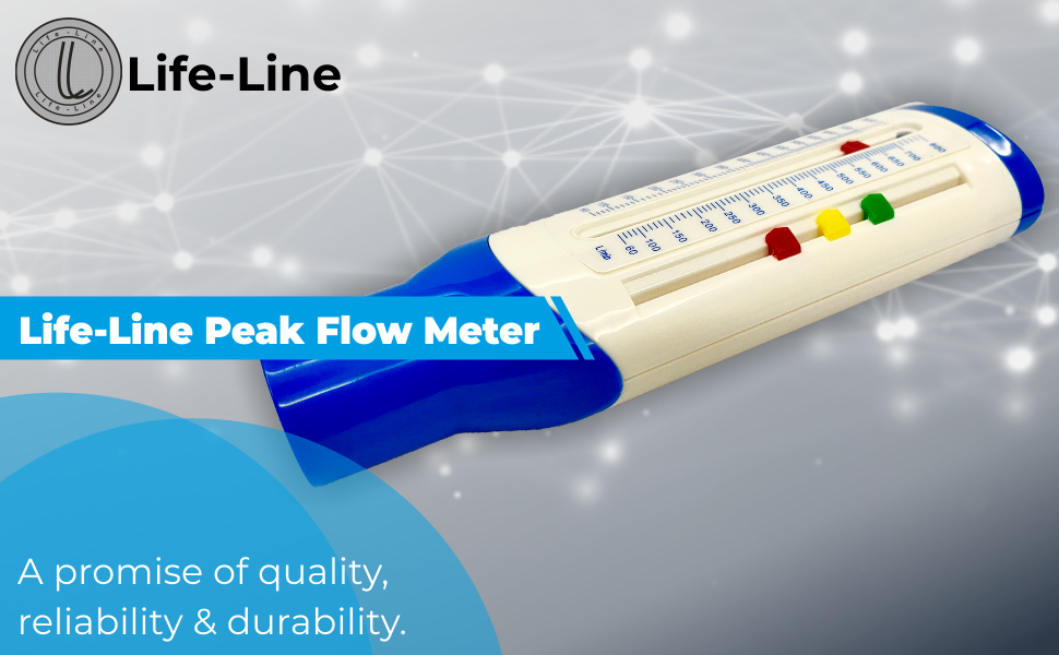 LIFE LINE Peak Flow Meter Amazon.in Industrial & Scientific