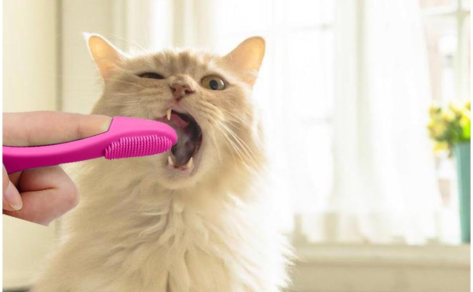 Cat Finger Brush