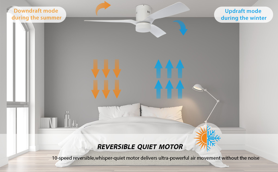 reversible quiet motor
