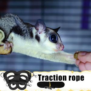 Amazon | Qismetbina フクロモモンガ牽引ロープ 小動物 ハーネス