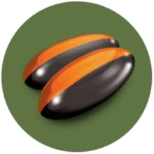 liquid softgel soft gel