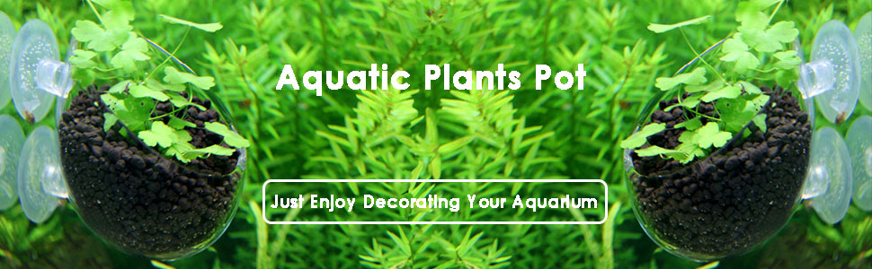 aquarium plants pot