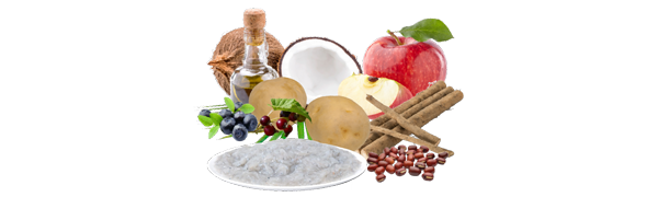 Amazon 国産ドッグフード Zen プレミアムドッグ グレインフリー しらす アダルト シニア 700g Zen ゼン ウェット 通販