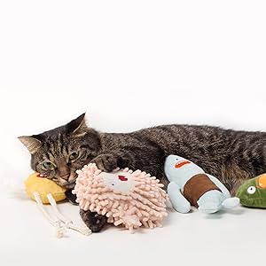 安全性が高いキャットニップ