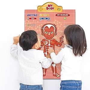 educational learning toy poster mat interactive body parts organs bones muscles quiz talking kids