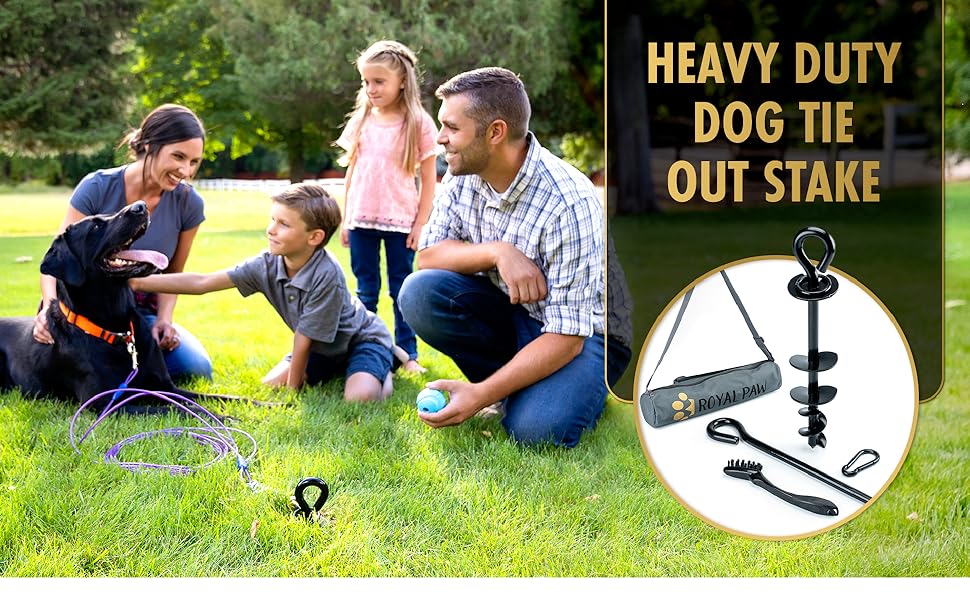 Mua ROYAL PAW Dog Tie Out Stake Heavy Duty Dog Stake for Large Dogs