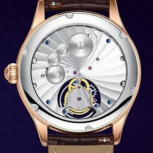 シースルーバック