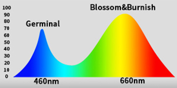 Full spectrum 40w 4-head plant light