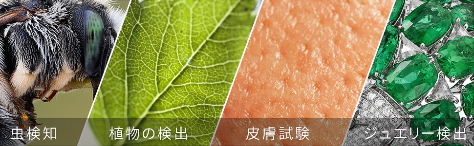 Large manufacture image 3