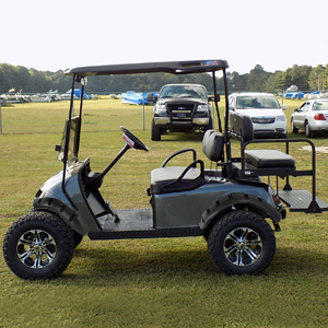 10L0L Golf cart ds