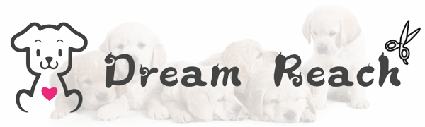 Dream Reach Dog Grooming Scissors - 7" Thinning Scissors, Texturing, Mixing and Layering for Dogs, Cats and Other Pets - Japanese 440C Stainless Steel 9 1