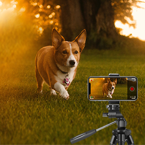 Small manufacture image 5