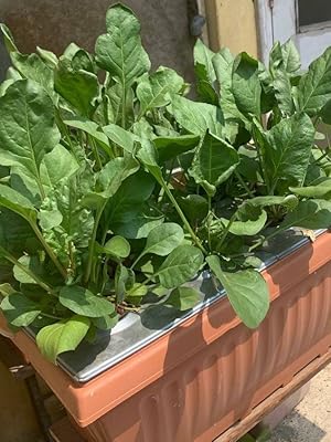 Small manufacture image 2