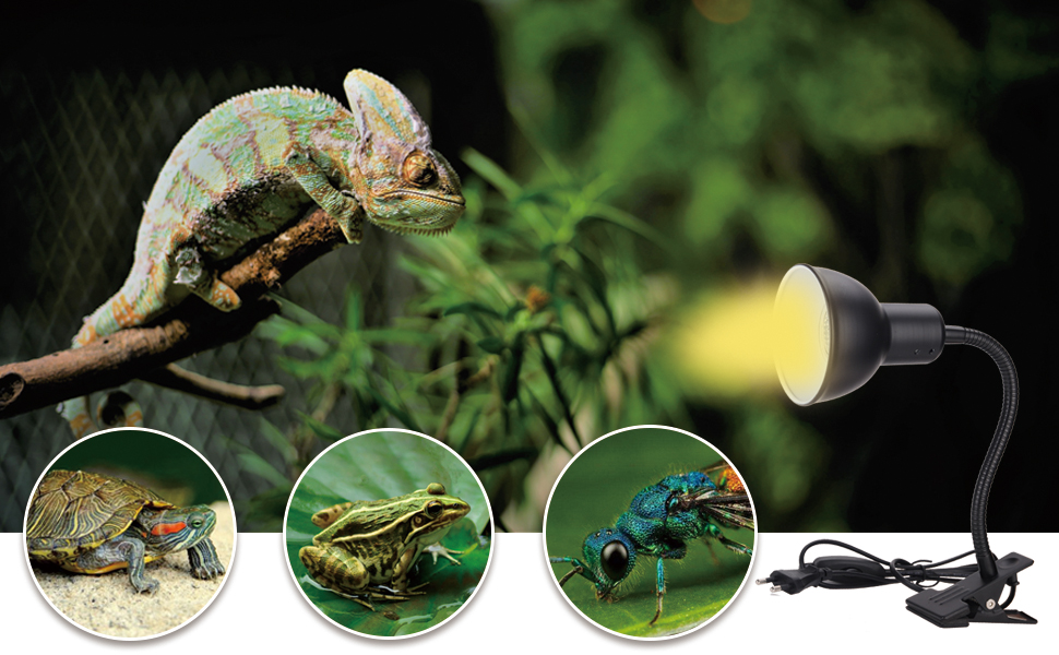 Seven Master 25W Reptile Heat Lamp, 360° Rotating