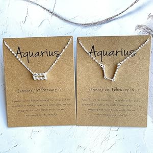 Silver Zodiac Necklace