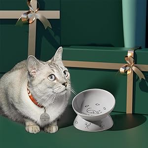 gift for cat