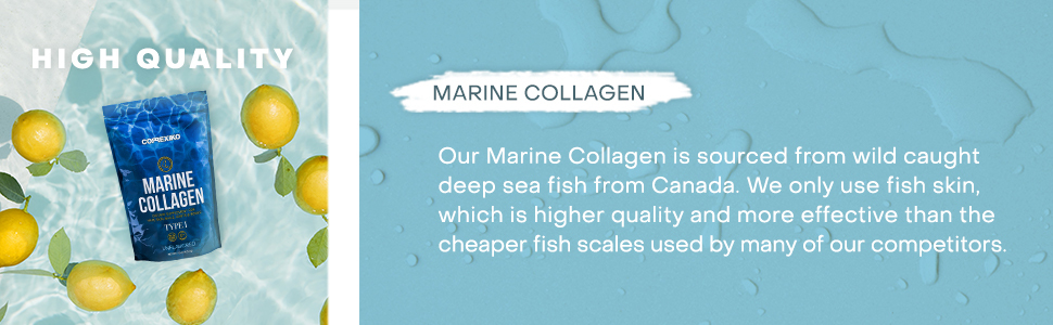 High Quality Marine Collagen