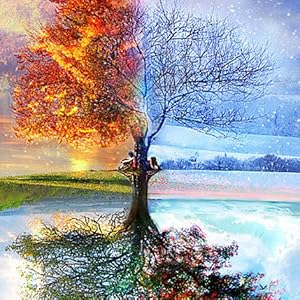 four seasons tree