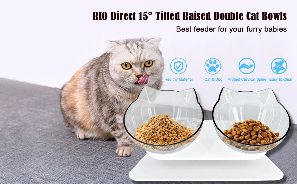 Double Cat Bowl with Raised Stand, 15° Tilted AntiSlip Transparent Cat