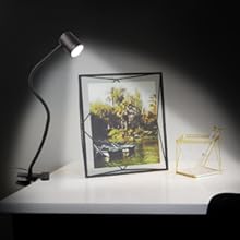 desk light with clamp