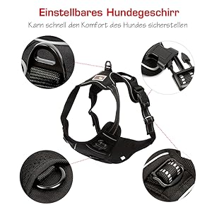 Verstellbarer Hals- und BrustGurt 