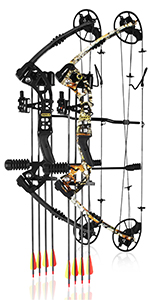 compound bow hunting archery