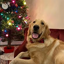 Unique style paws Dog Collar with Detachable Bow tie, Adjustable Dog Collars with Bow for Small Medium Large Dogs or Cats XXS-XL 15