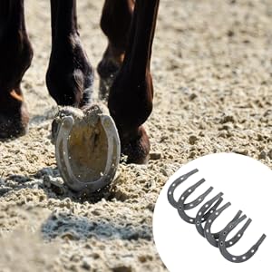 Amazon.co.jp: Mipcase 5個 金属蹄鉄 安定した蹄鉄 馬用蹄鉄