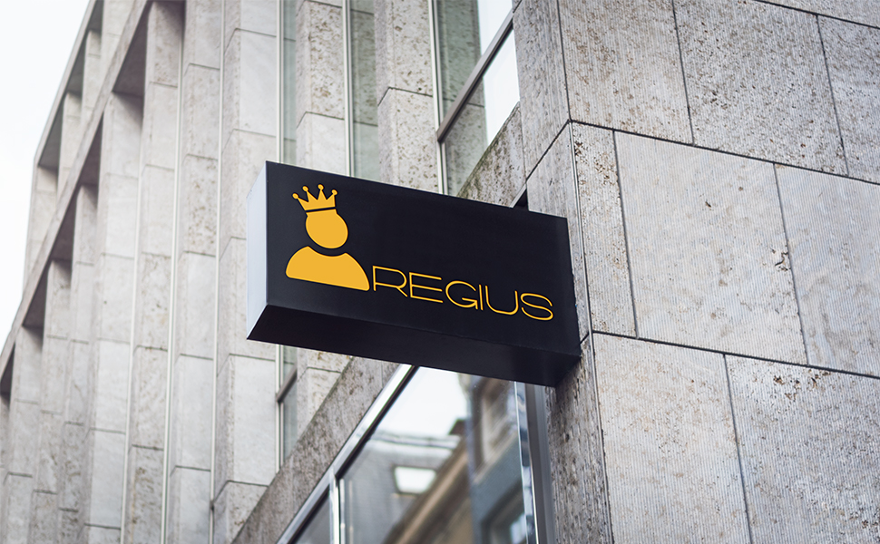 Regius Volleyball Training Equipment 3.0 Premium Solo