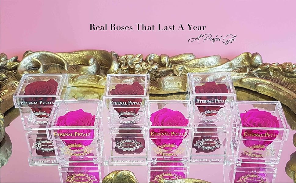 A 100% Real Rose That Lasts A Year - The Perfect Unique Gift