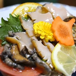 Amazon 天草特産 活きアワビ 500g あわび 鮮魚 通販